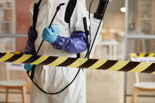 Professional Sewage Cleanup technician working in Silver Spring, MD